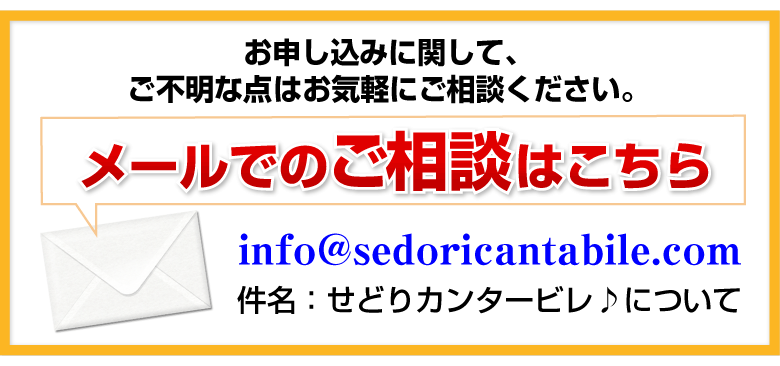 お申し込みに関して、ご不明な点はお気軽にご相談ください。
   メールでのご相談はこちら
   info@sedoricantabile.com
   件名：せどりカンタービレ♪について