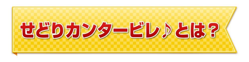 せどりカンタービレ♪とは？