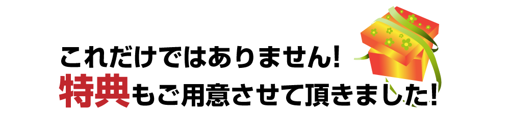 これだけではありません！特典もご用意させて頂きました！