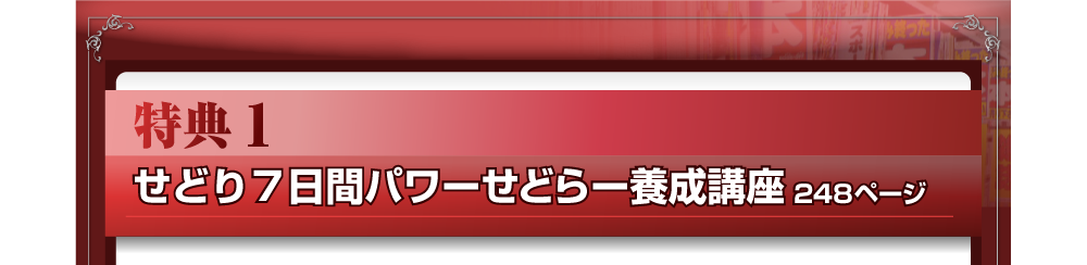 特典１　せどり7日間パワーせどらー養成講座　248ページ