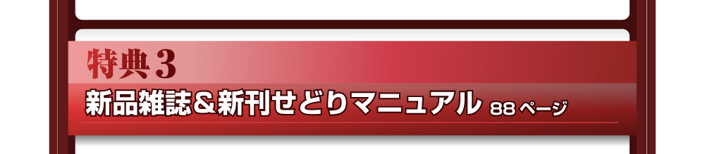 特典３　新品雑誌＆新刊せどりマニュアル　88ページ