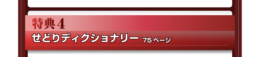 特典４　せどりディクショナリー　75ページ