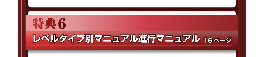 特典６　レベルタイプ別マニュアル進行マニュアル　16ページ